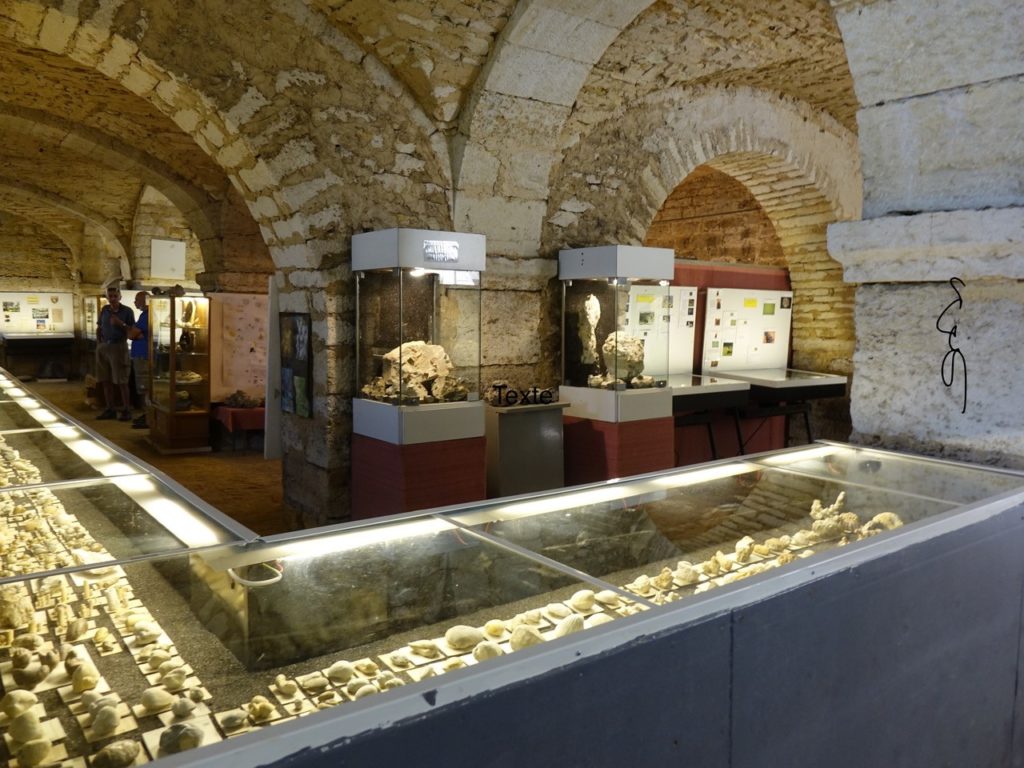 Musée des sciences de la vie et de la terre Pierre Cretin dans la Cave Couyba